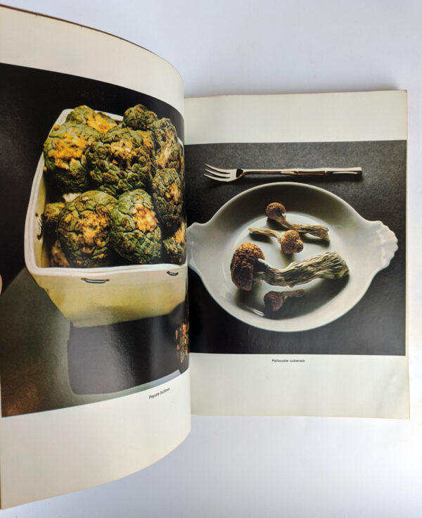 High Times Encyclopedia of Recreational Drugs - Image 7