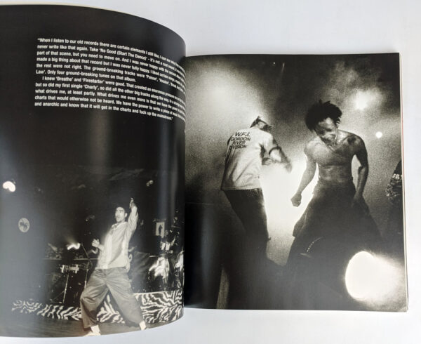 Prodigy: The Fat of the Land - Image 6