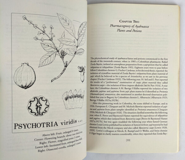 Ayahuasca Analogues: Pangaean Entheogens - Image 2