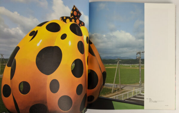 Yayoi Kusama: My Eternal Soul - Image 5