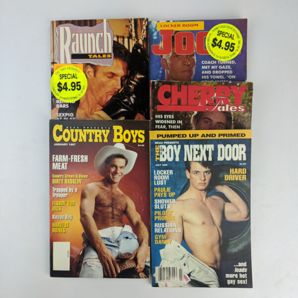 Lot of 5 1990s Gay Digest Magazines