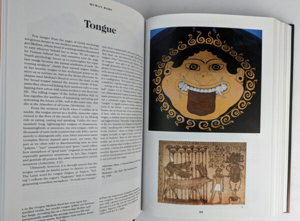 The Book of Symbols: Reflections on Archetypal Images - Image 6