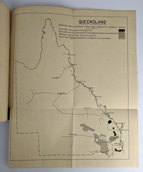 Queensland's Indigenous Conifers - Image 4