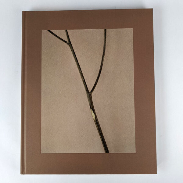 Belongs to Joe: Book of Comfort for a Nymphomaniac