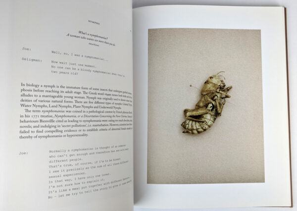 Belongs to Joe: Book of Comfort for a Nymphomaniac - Image 3
