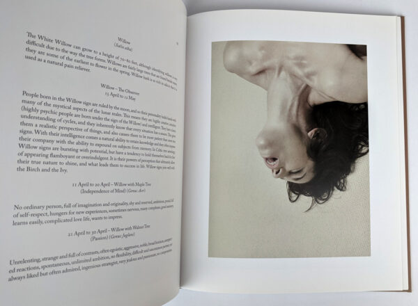 Belongs to Joe: Book of Comfort for a Nymphomaniac - Image 4