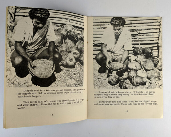 Wokim Gutpela Neseri Bilong Kokonas / Make A Good Coconut Nursery - Image 3