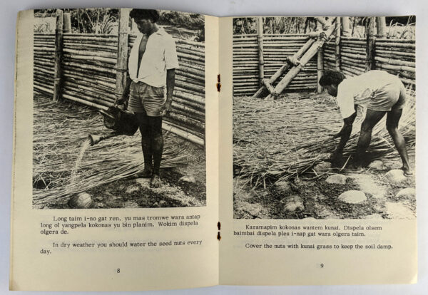 Wokim Gutpela Neseri Bilong Kokonas / Make A Good Coconut Nursery - Image 4
