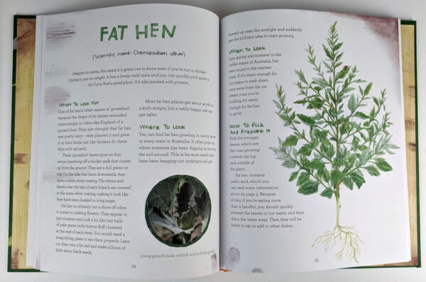 Let's Eat Weeds: A Kids' Guide to Foraging - Image 2