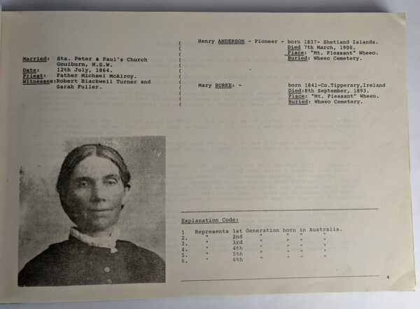 From Shetland and Co. Tipperary to Mt. Pleasant: Henry & Mary Anderson & Descendants, 1860 - 1982 - Image 3