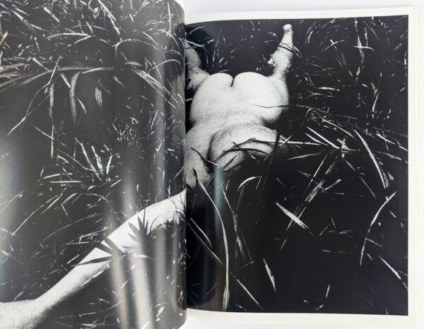 Fragments: Representation of Moriyama Daido, 1964-1998 - Image 2