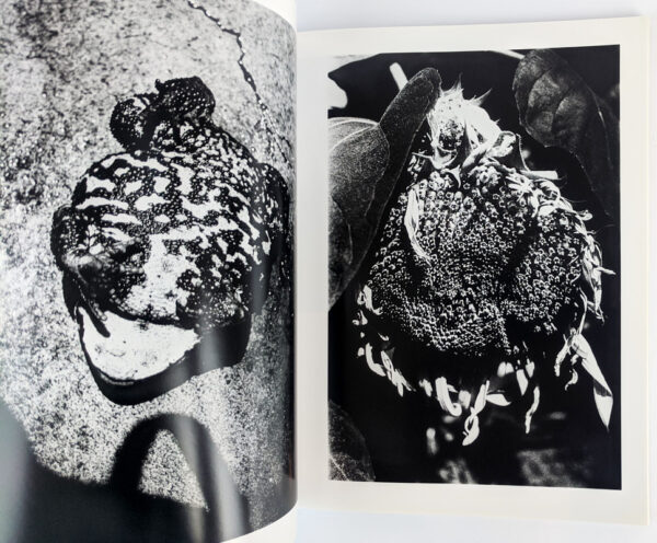 Fragments: Representation of Moriyama Daido, 1964-1998 - Image 5