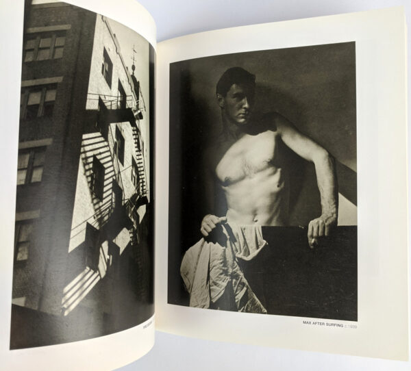 Olive Cotton - Image 2