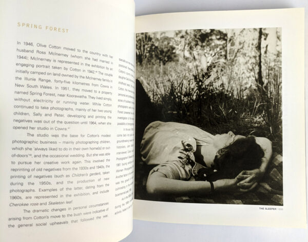 Olive Cotton - Image 3
