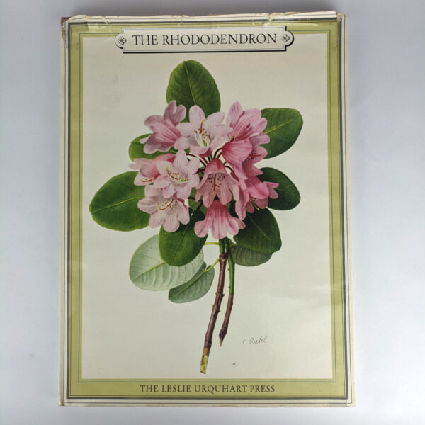 The Rhododendron