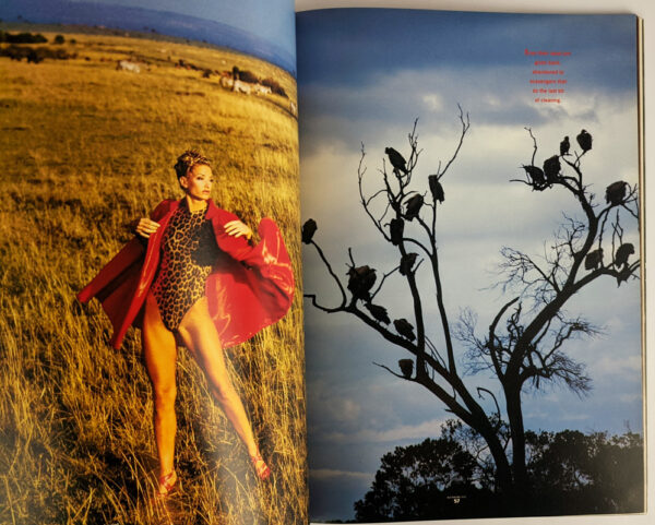 Australian Style Issue #2 - Image 2