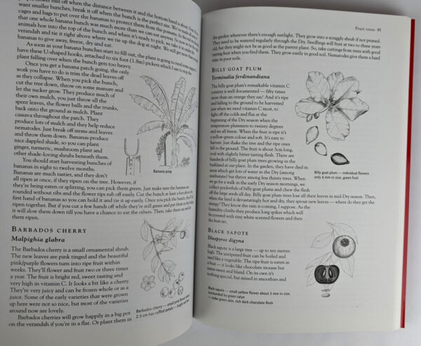 Tropical Food Gardens: A Guide to Growing Fruit, Herbs and Vegetables - Image 2