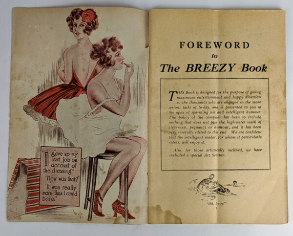 The Breezy Book - Image 2
