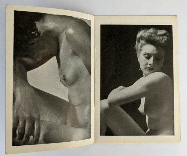 Model of Beauty - Image 3