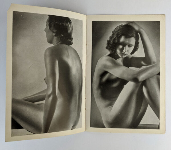 Model of Beauty - Image 4