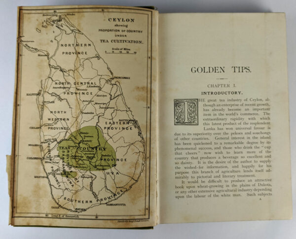 Golden Tips. A Description of Ceylon and its great Tea Industry - Image 2