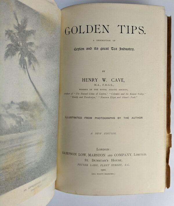 Golden Tips. A Description of Ceylon and its great Tea Industry - Image 3