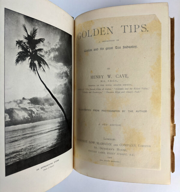 Golden Tips. A Description of Ceylon and its great Tea Industry - Image 4