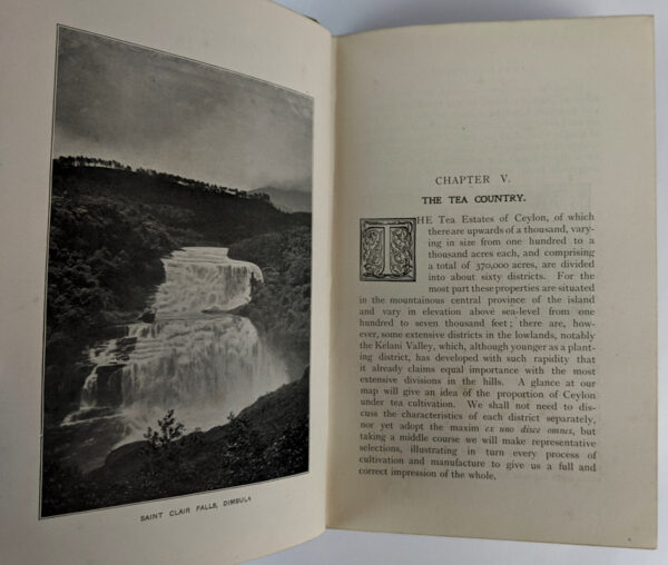Golden Tips. A Description of Ceylon and its great Tea Industry - Image 5
