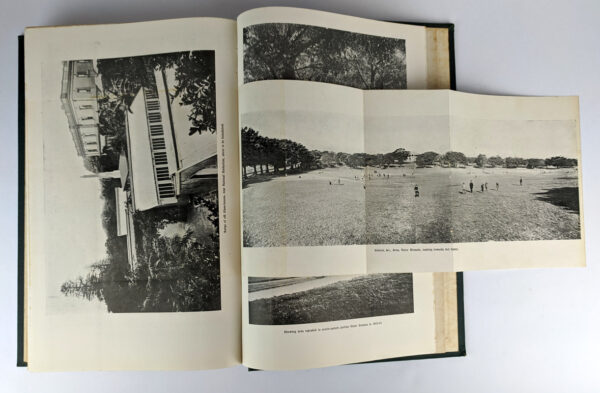 Botanic Gardens and Domains, Reports for the Years 1896-1914 - Image 3