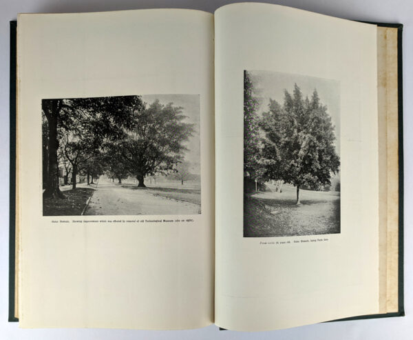 Botanic Gardens and Domains, Reports for the Years 1896-1914 - Image 4