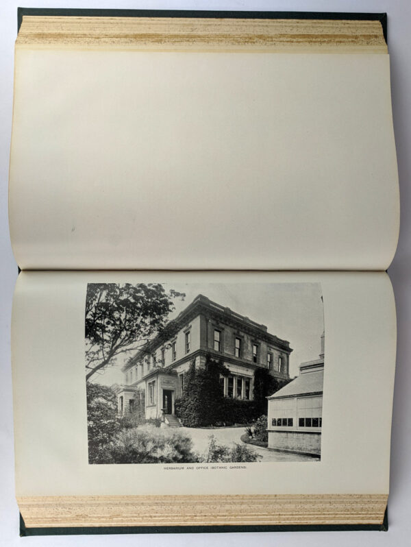 Botanic Gardens and Domains, Reports for the Years 1896-1914 - Image 6