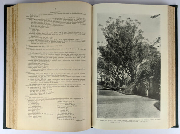 Botanic Gardens and Domains, Reports for the Years 1896-1914 - Image 8