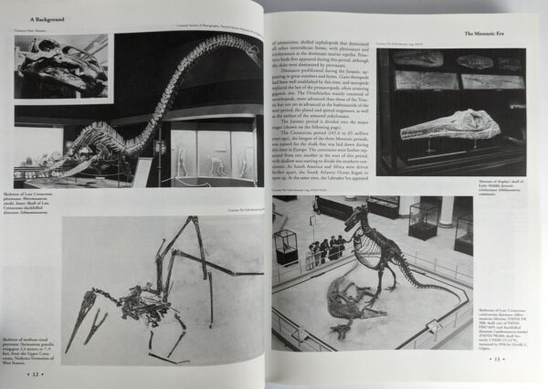Dinosaurs: The Encyclopedia with Supplements (8 Volumes) - Image 3