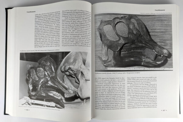 Dinosaurs: The Encyclopedia with Supplements (8 Volumes) - Image 4