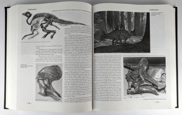 Dinosaurs: The Encyclopedia with Supplements (8 Volumes) - Image 5