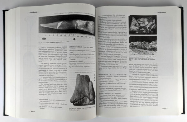 Dinosaurs: The Encyclopedia with Supplements (8 Volumes) - Image 6