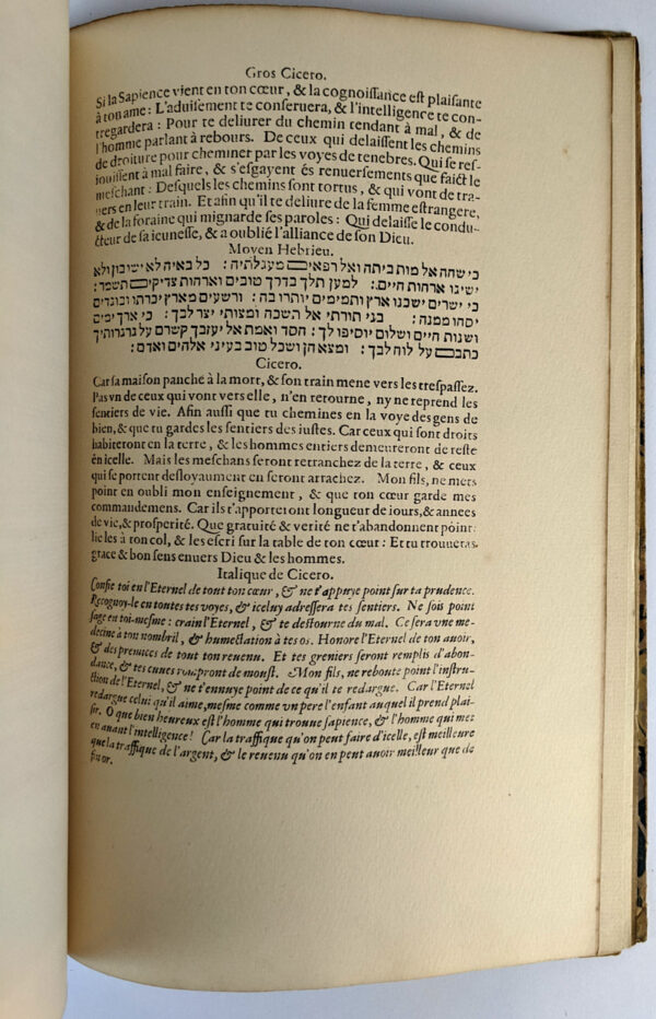 The 1621 [Type] Specimen of Jean Jannon, Paris & Sedan, Designer & Engraver of the Caracteres de l'Universite now owned by the Imprimerie Nationale, Paris - Image 9
