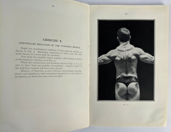 Muscle Control - Image 3
