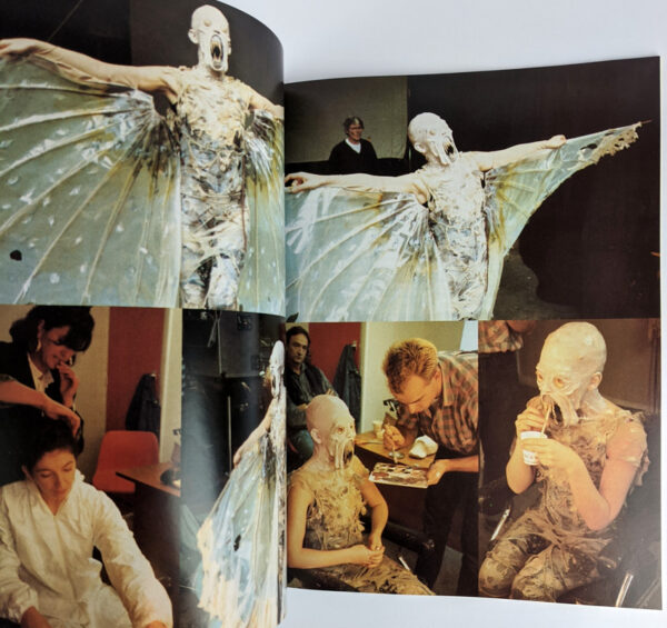 Kate Bush: A Visual Documentary - Image 2