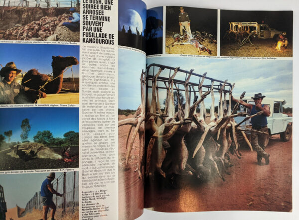 Photo No. 274: Special Australie - Image 7