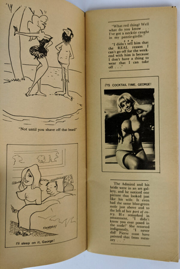 Sexy Laughs The Nice Dirty Joke Book - Image 2