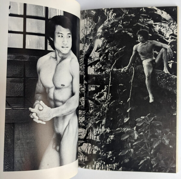 A World of Nudes - Image 2