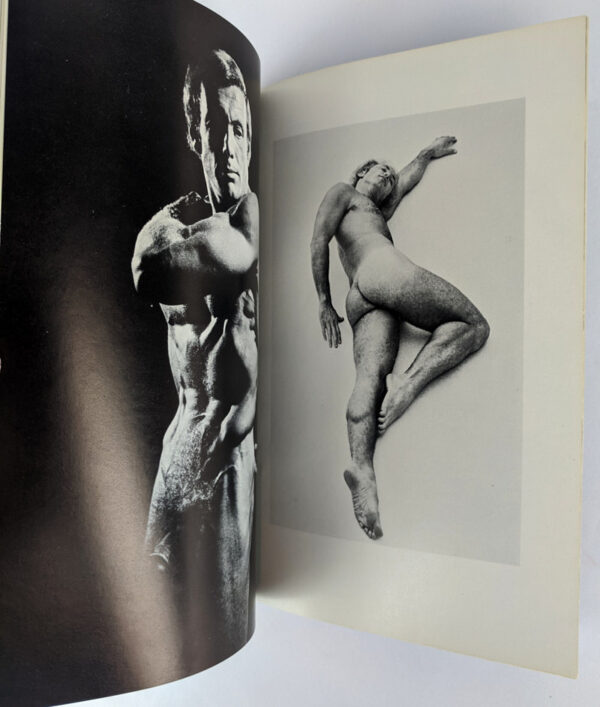 A World of Nudes - Image 3