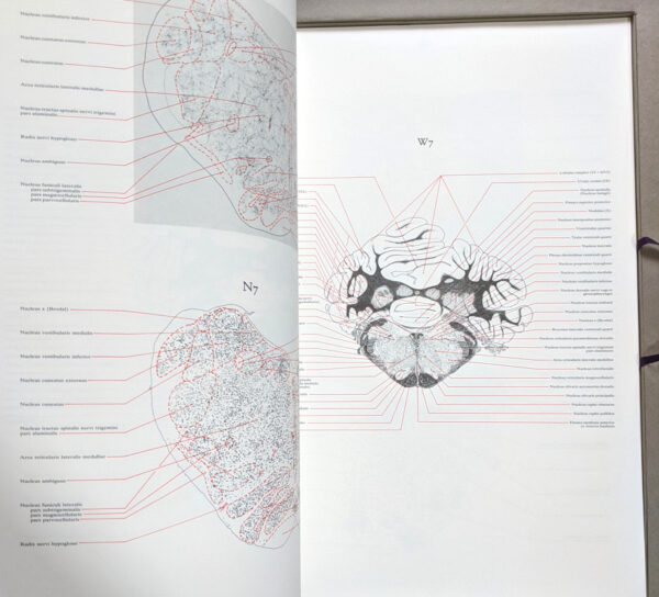 A Dendro-cyto-myeloarchitectonic Atlas of the Cat's Brain - Image 9