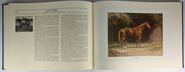 Notable Australian Thoroughbreds - Image 5