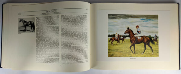 Notable Australian Thoroughbreds - Image 6