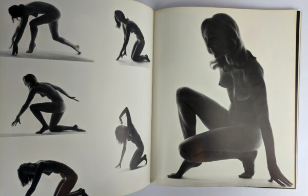 Australian Nudes - Image 4