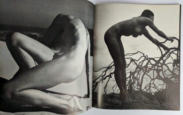 Australian Nudes - Image 5