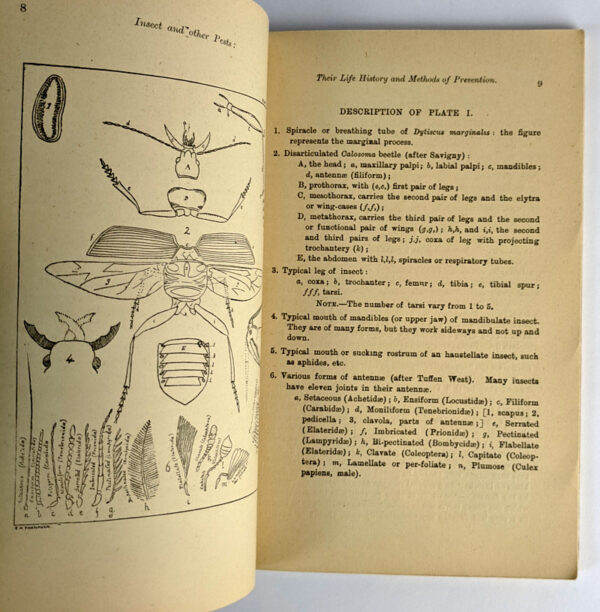 A Handbook to the Insect Pests of Farm and Orchard: Their Life History and Methods of Prevention. Part 1 - Image 2