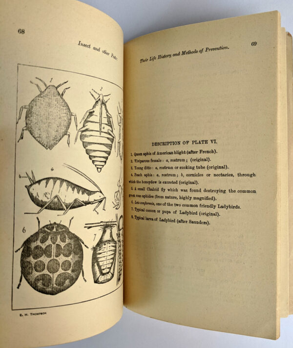 A Handbook to the Insect Pests of Farm and Orchard: Their Life History and Methods of Prevention. Part 1 - Image 4